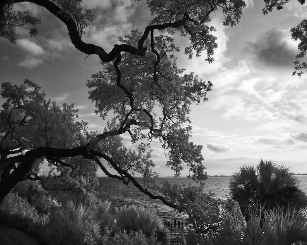 Bluff Over the Indian River, view from the Reflections Building