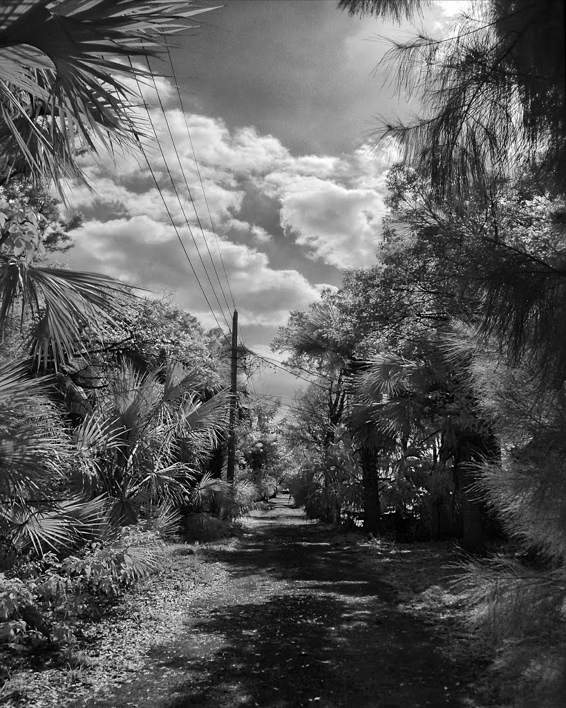 Alley