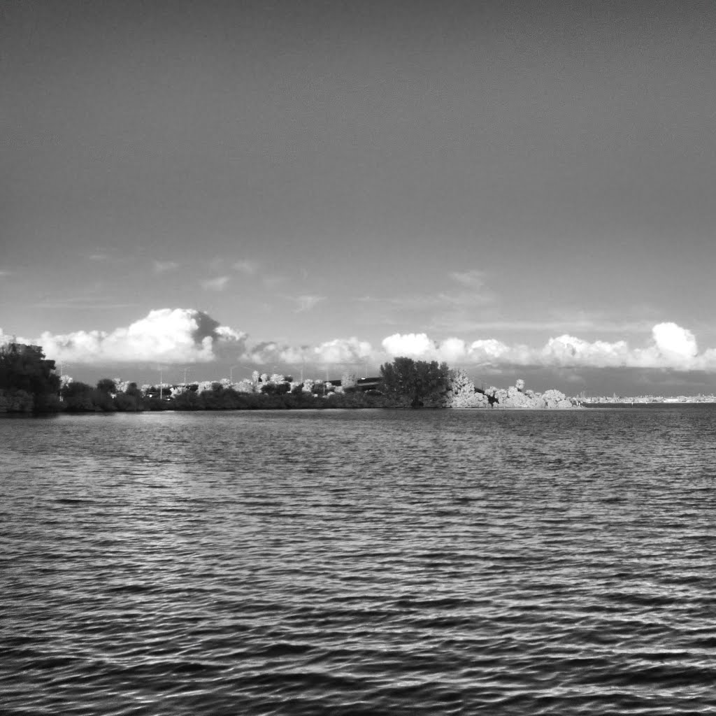 Geiger Point