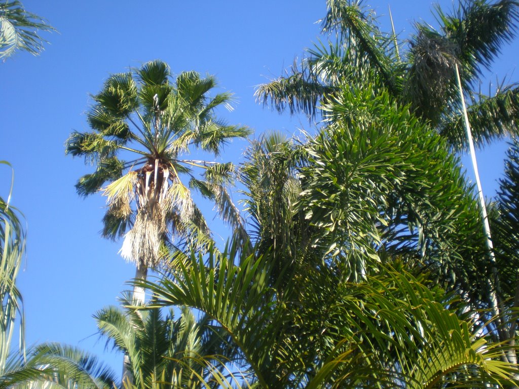 South Merritt Island