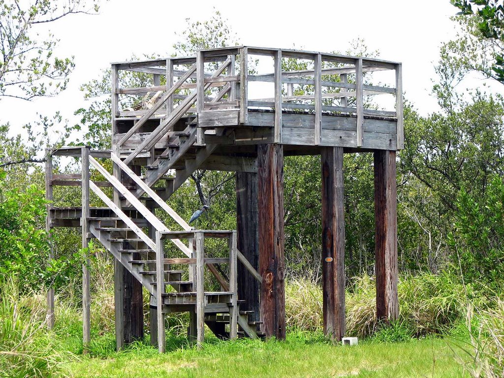 Observation platform in Ulumay