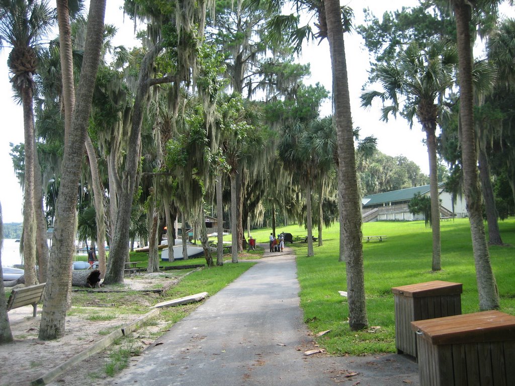 Oak trees
