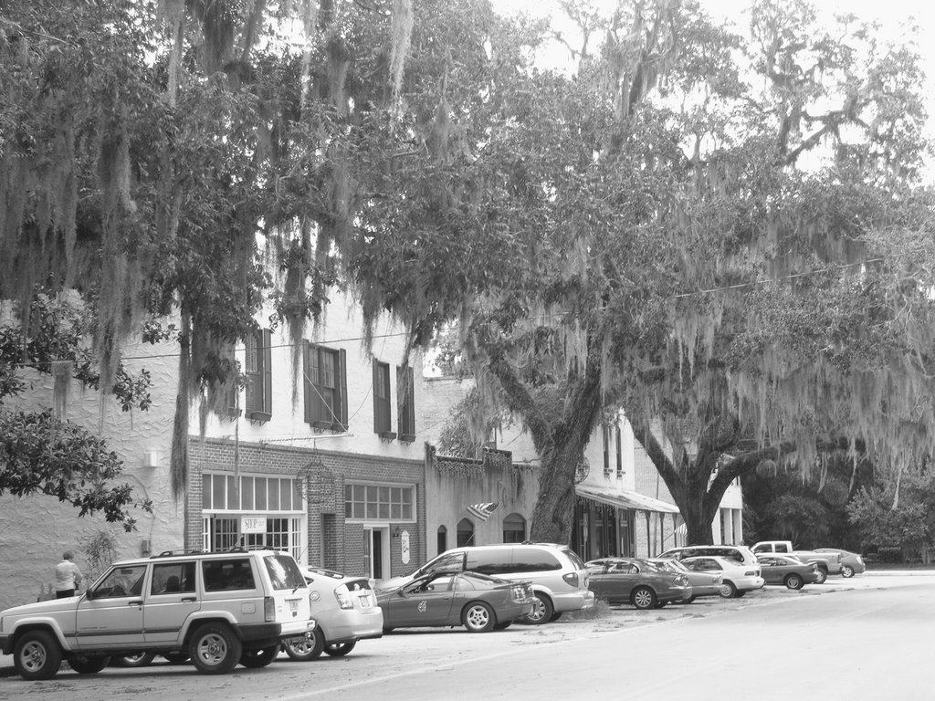 Downtown Micanopy