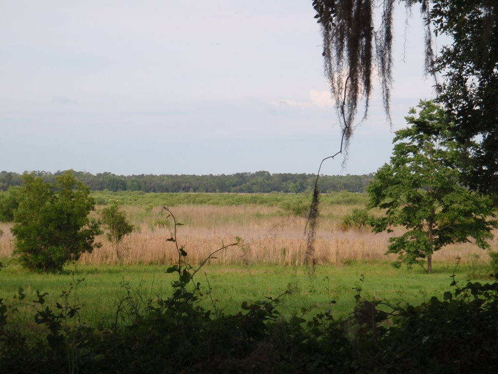 Tuscawilla lake
