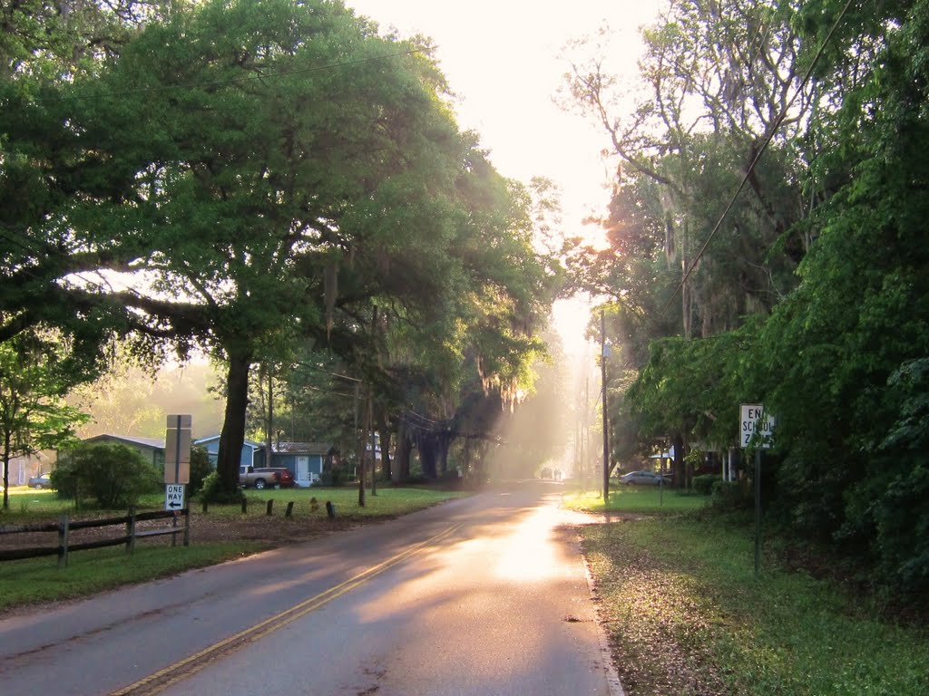 Micanopy in the morning