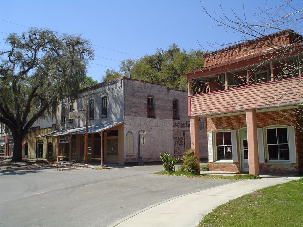 Frozen in time, Micanopy, Florida (3-2006)