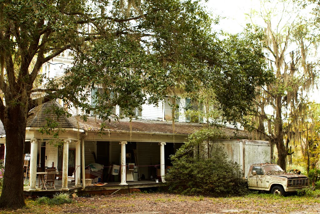 House and tree