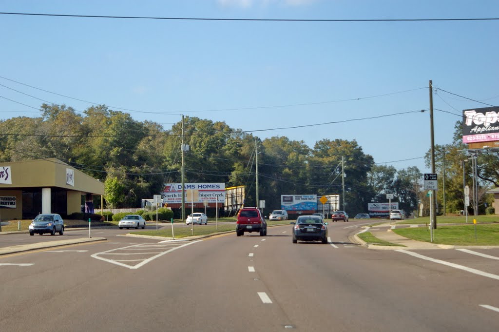 2011 Milton, FL, USA