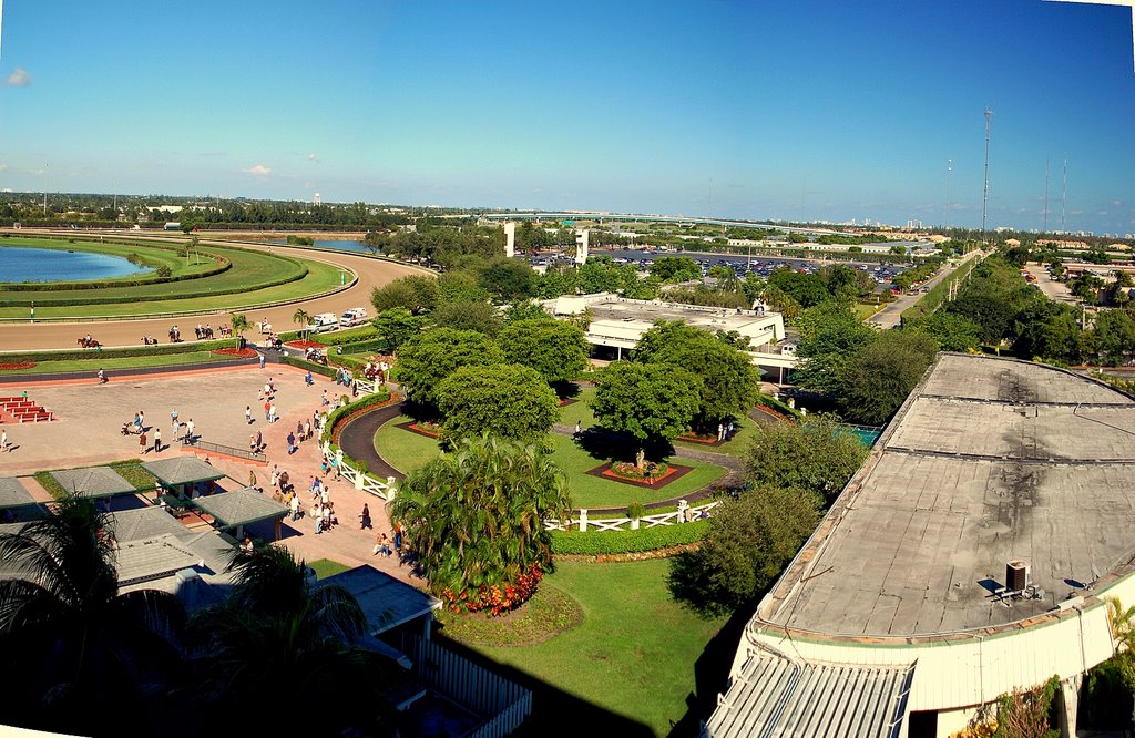 CALDER WALKING RING AS SEEN FROM 4th FLOOR