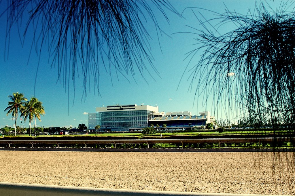 CALDER RACE TRACK