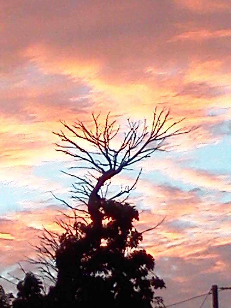 SIHLOUETTE