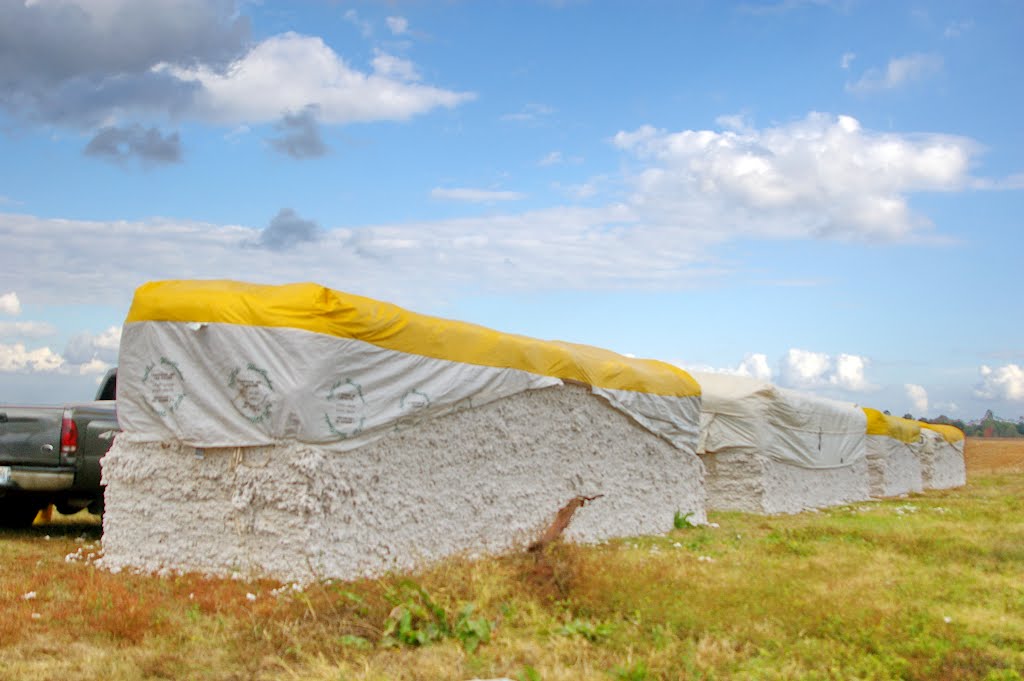 2010, cotton bale