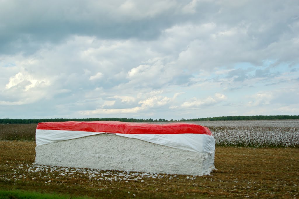 2010, cotton bale