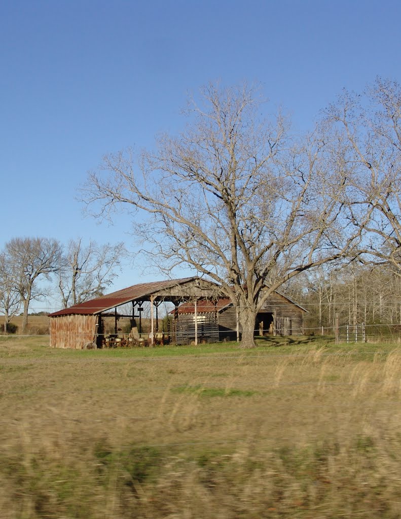 weathered barns, Underwood Crossing Fla (1-2-2012)