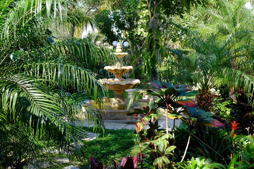 fuente