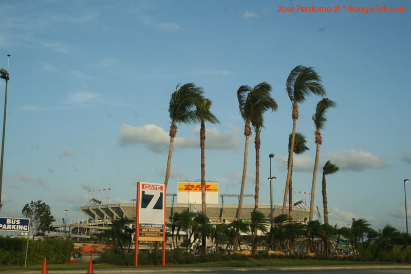 Dolphin Stadium, Miami, Florida