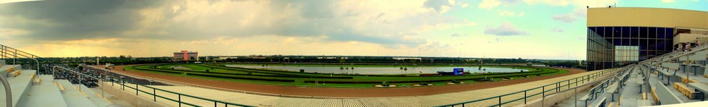 ROOF TOP SEATS 4th FLOOR CALDER RACE COURSE