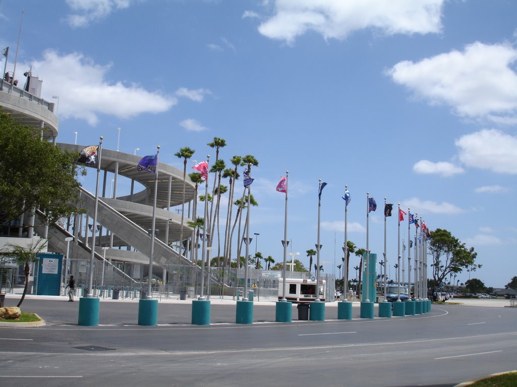 flags