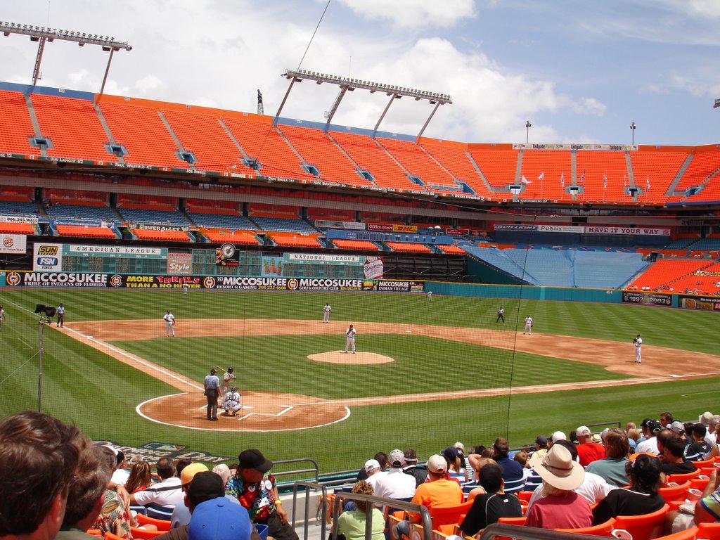 marlins