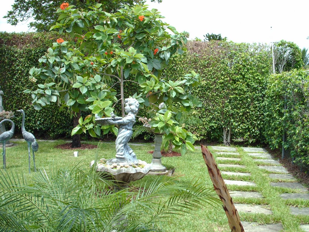 patio