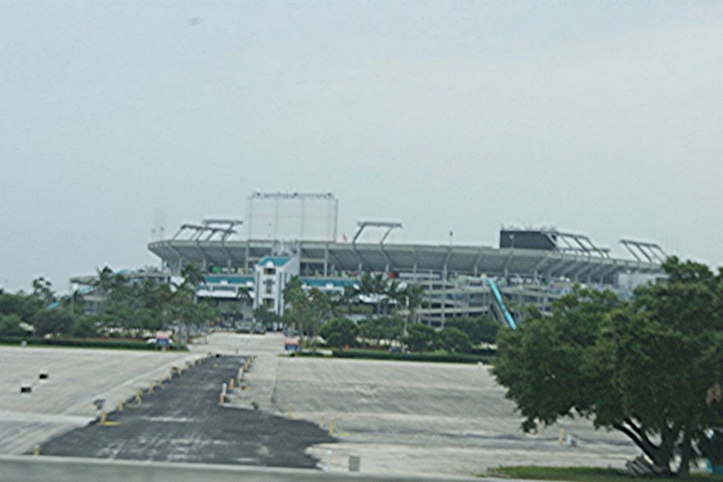 Dolphin stadium
