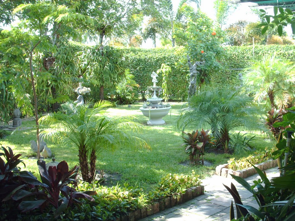patio coconiche