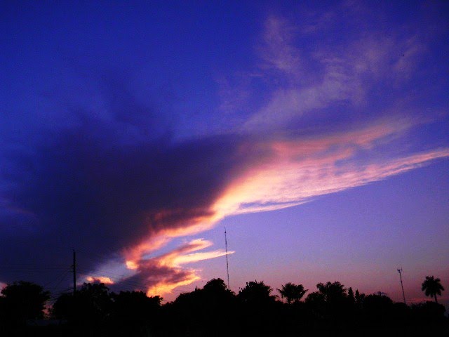 DUSKING THE SKY.