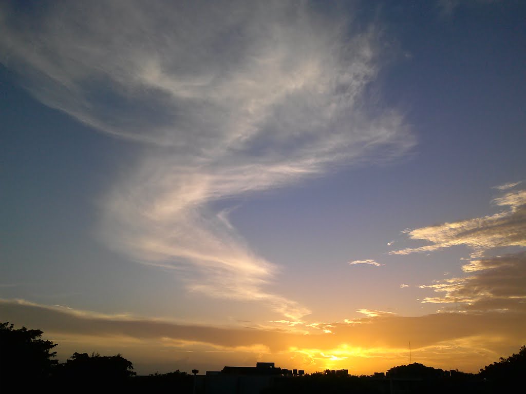CARPE DIEM