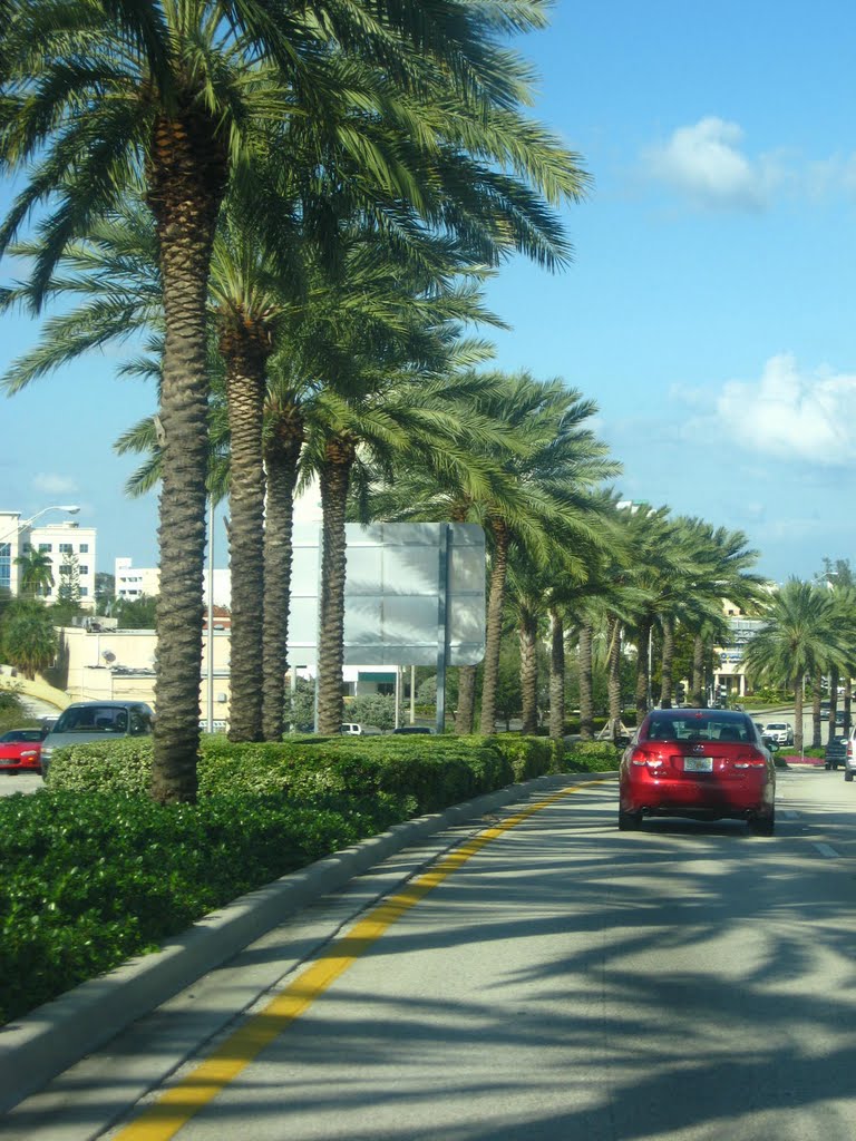 PALMS AT AVENTURA.