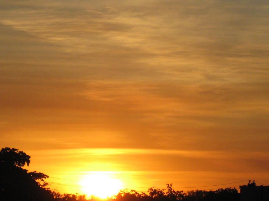 GOLDEN LIGHTS