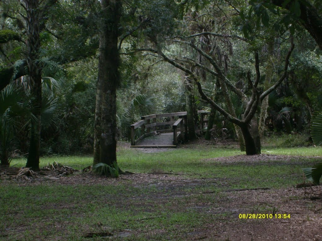 Myakkahatchee Environmental Park creek overlook