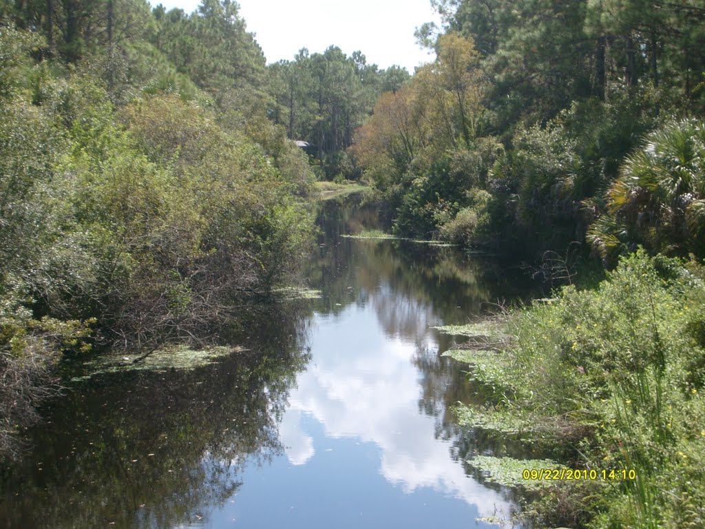 View from bridge