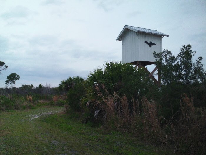 Bat Mansion