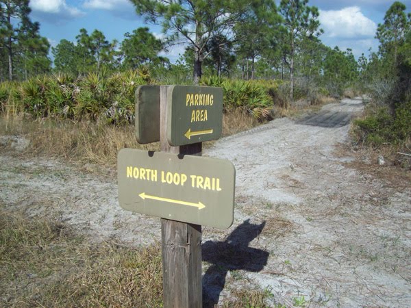 North loop cross trail