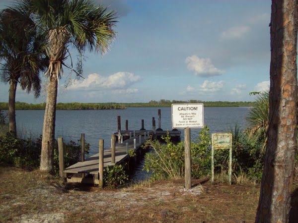 Myakka river camp dock 2