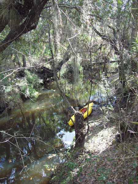Deer Praire Creek kayak 3