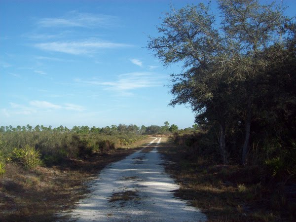 Deer Prairie Creek Preserve trail shell road