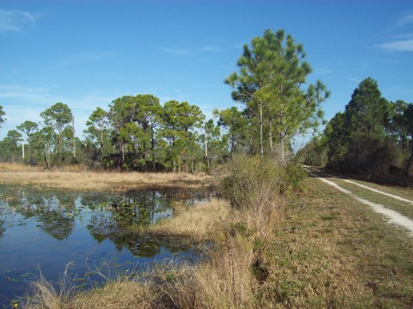 Deer Prairie Creek Preserve trail waterhole