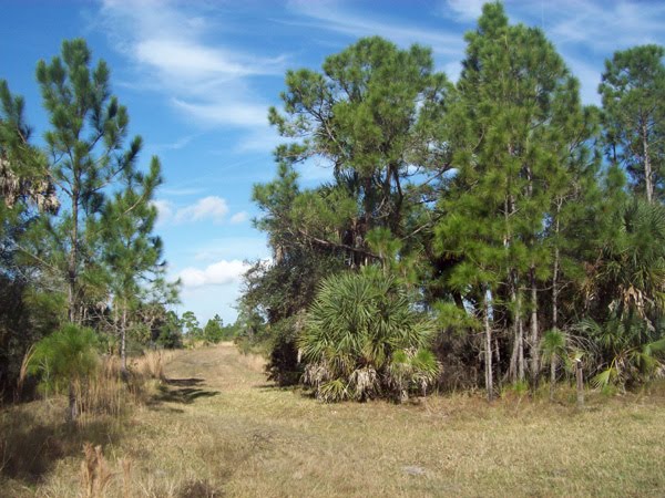Deer Prairie Creek Preserve trail "L"