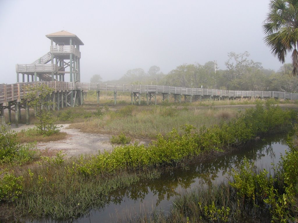 Boca Ciega County Park