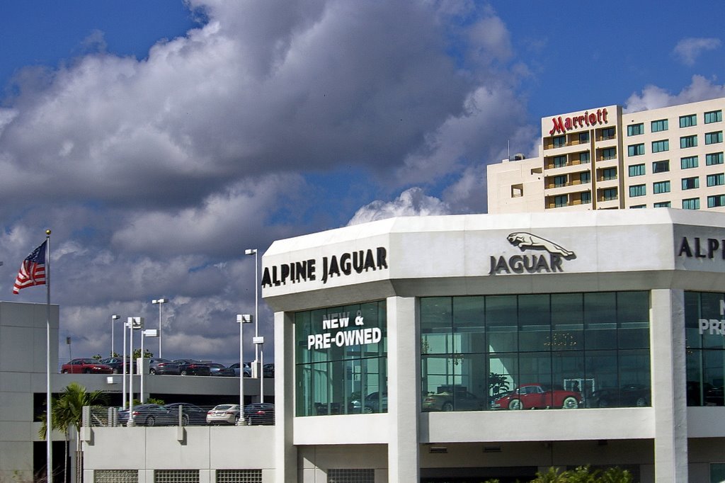 Alpine Jaguar - Fort Lauderdale - seen from