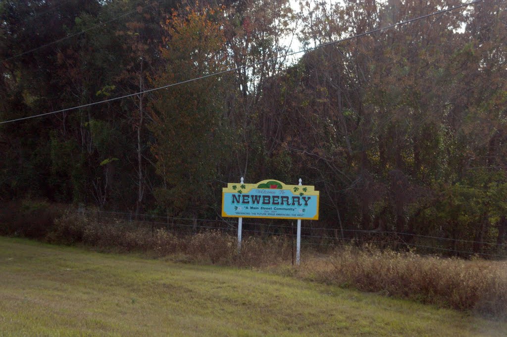 2010 Newberry, FL, USA - along SR 27