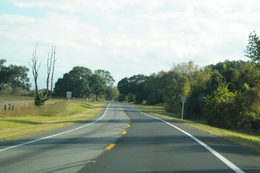 2010 Newberry, FL, USA - along SR 27