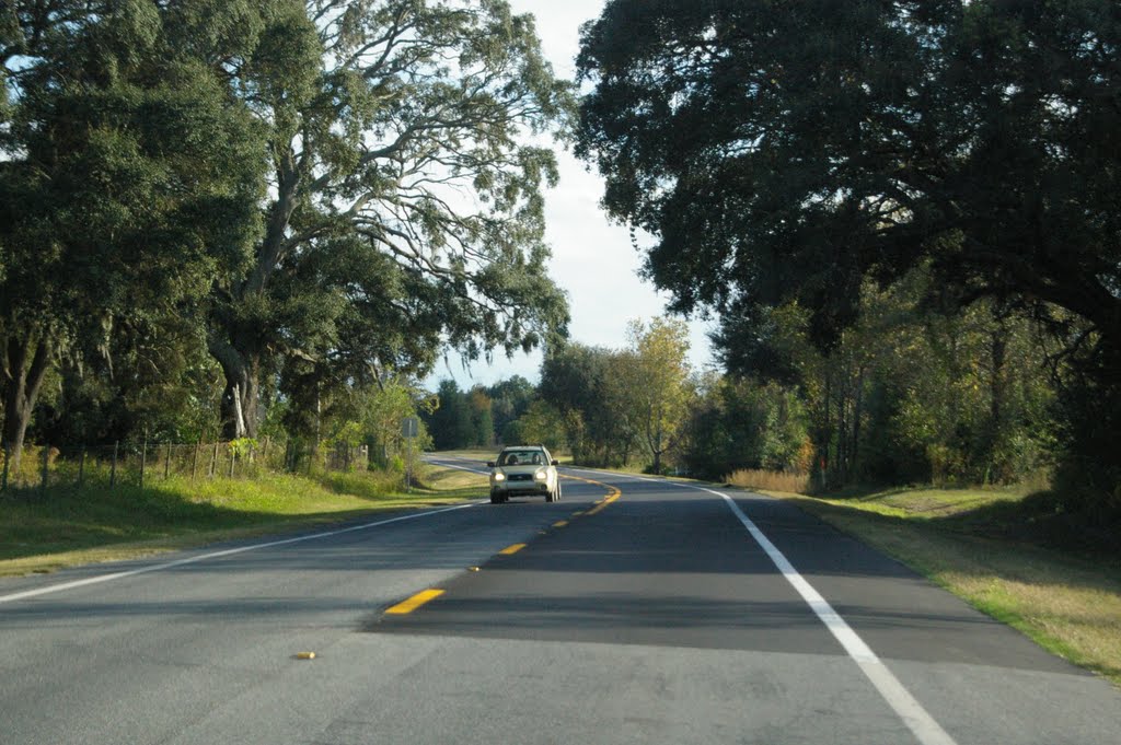 2010 Newberry, FL, USA - along SR 27