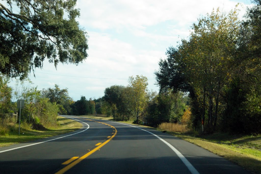 2010 Newberry, FL, USA - along SR 27