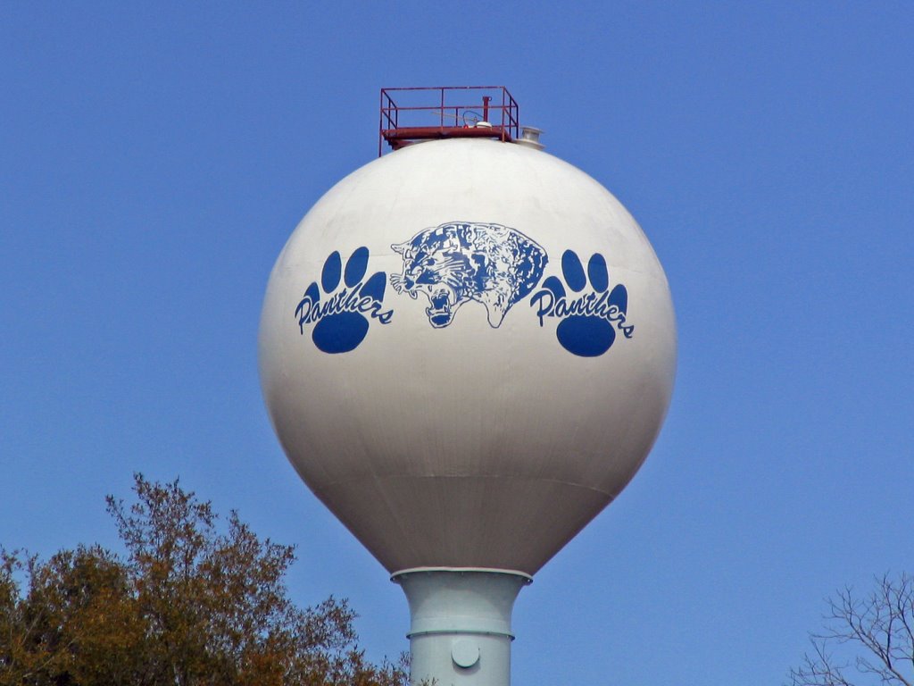 Newberry Water Tower