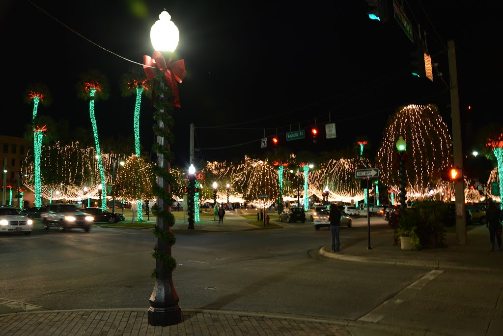 Light up Ocala, 2013