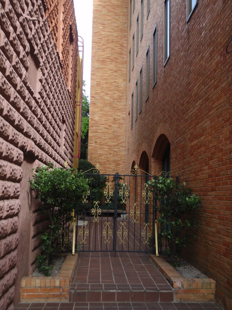 Ocala Side Alley