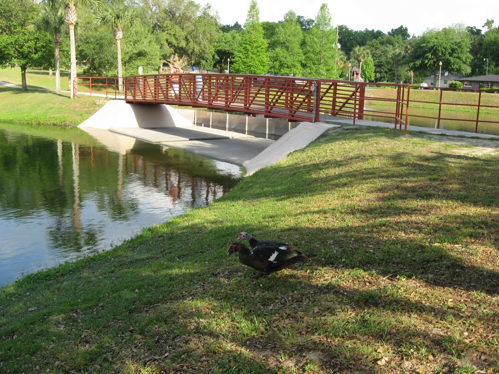 Tuscawilla Park, Ocala, Florida