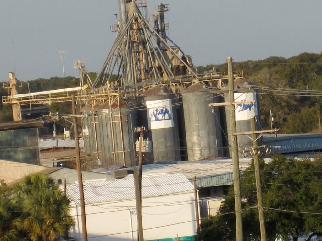 Seminole Feed Company